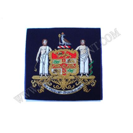 Institutions Badges