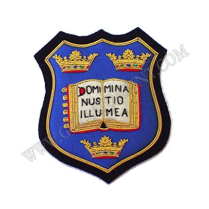 Institutions Badges