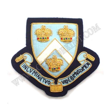 Institutions Badges