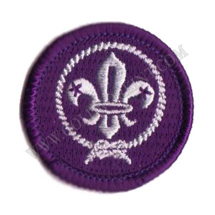 Scout Badges
